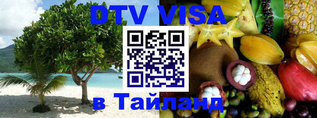 Сколько стоит DTV виза — актуальные цены, оформление даже без документов - Мехико  03.10.2025 